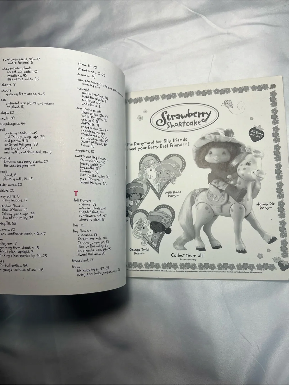 Strawberry Shortcake’s Berry Best Gardening Book‎ Megan E Bryant PB 2004 VTG